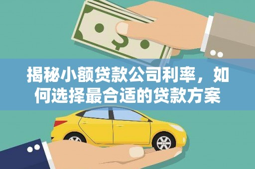 新社揭秘小额贷款公司利率，如何选择最合适的贷款方案