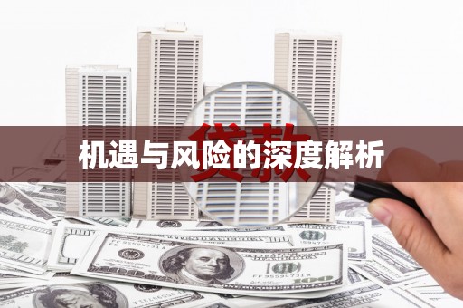 新社机遇与风险的深度解析