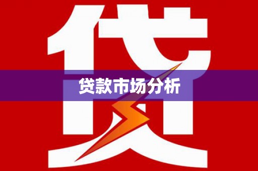 新社贷款市场分析