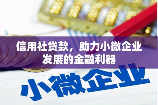新社信用社贷款，助力小微企业发展的金融利器