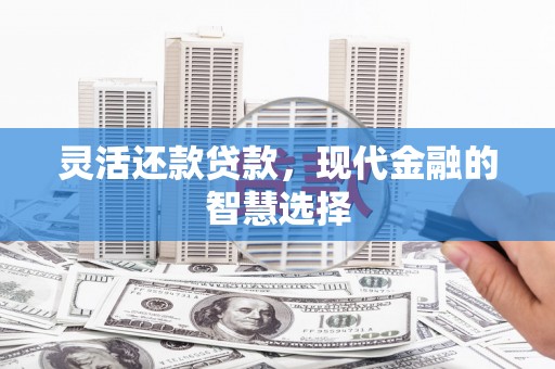 新社灵活还款贷款，现代金融的智慧选择