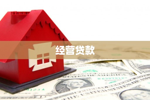 新社经营贷款