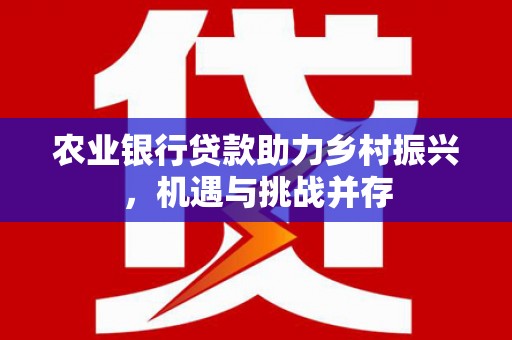 新社农业银行贷款助力乡村振兴，机遇与挑战并存