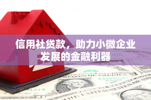 新社信用社贷款，助力小微企业发展的金融利器