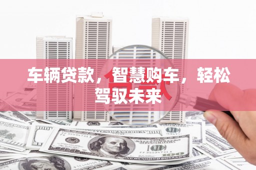 新社车辆贷款，智慧购车，轻松驾驭未来
