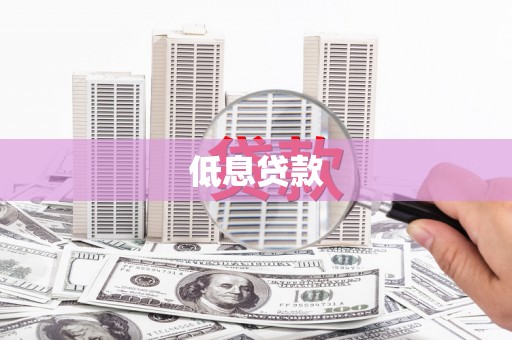 新社低息贷款