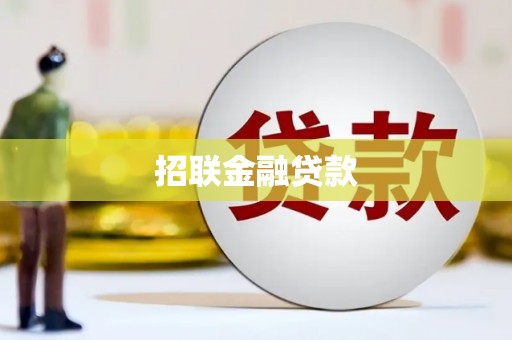 新社招联金融贷款