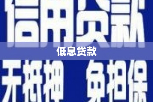新社低息贷款