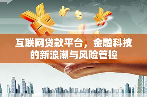 新社互联网贷款平台，金融科技的新浪潮与风险管控