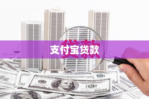 新社支付宝贷款