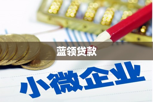 新社蓝领贷款