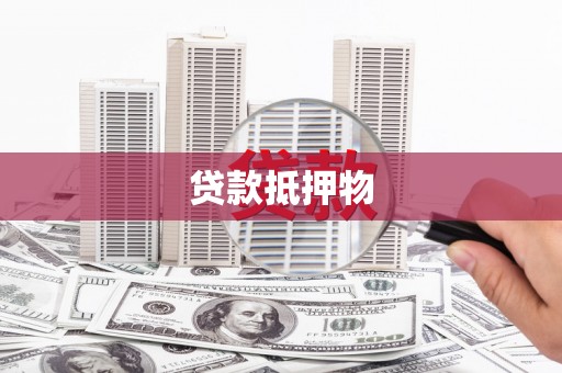 新社贷款抵押物