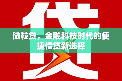 新社微粒贷，金融科技时代的便捷借贷新选择
