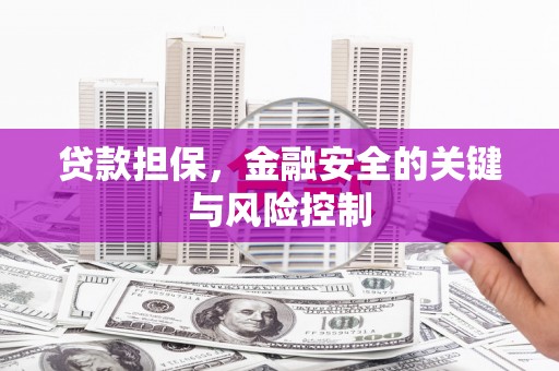 新社贷款担保，金融安全的关键与风险控制