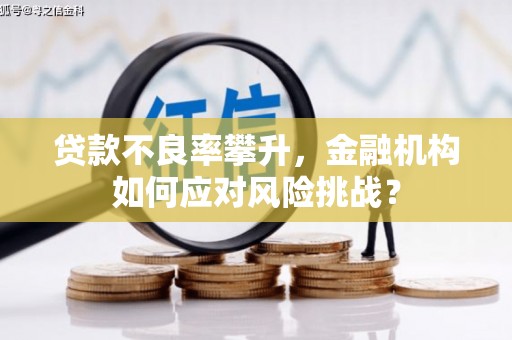 新社贷款不良率攀升，金融机构如何应对风险挑战？