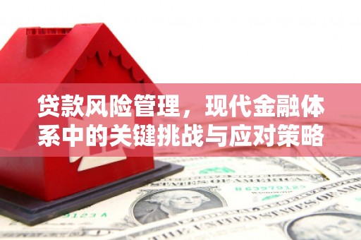 新社贷款风险管理，现代金融体系中的关键挑战与应对策略