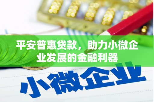 新社平安普惠贷款，助力小微企业发展的金融利器