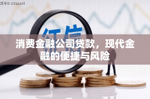 新社消费金融公司贷款，现代金融的便捷与风险