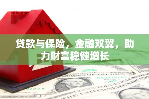 新社贷款与保险，金融双翼，助力财富稳健增长