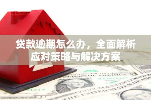 新社贷款逾期怎么办，全面解析应对策略与解决方案