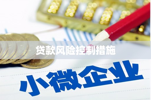 新社贷款风险控制措施