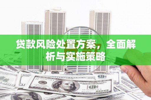 新社贷款风险处置方案，全面解析与实施策略
