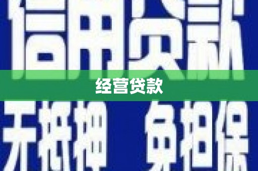 新社经营贷款
