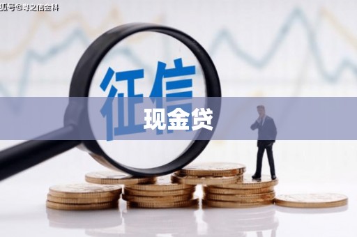 新社现金贷