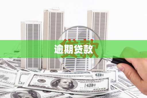 新社逾期贷款